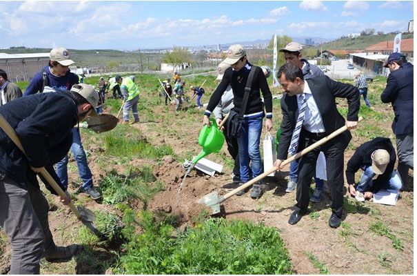 Orman Genel Mdrl ve Orman Faklteliler Mezunlar Dernei (ORFAMDER) Fidan Dikim enlii Yapld